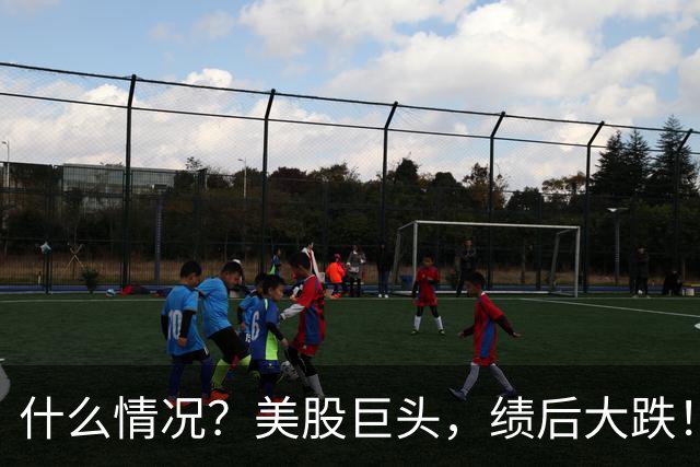什么情况？美股巨头，绩后大跌！
